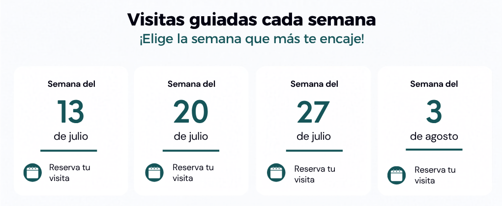 Bloque CEV horas